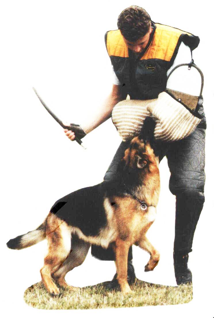 Üben